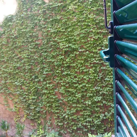 Frühstückspension Federica's House In Rom